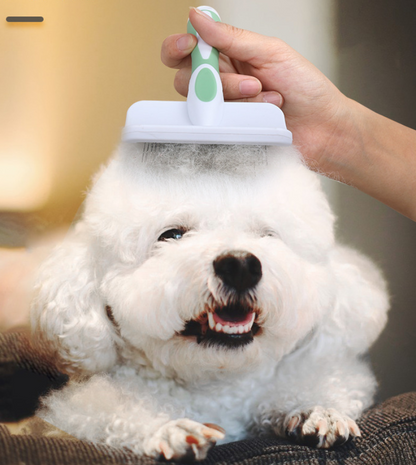 Kastty Pet Slicker Brush for Shedding & Grooming, Skin Friendly Dog Brush and Cat Brush